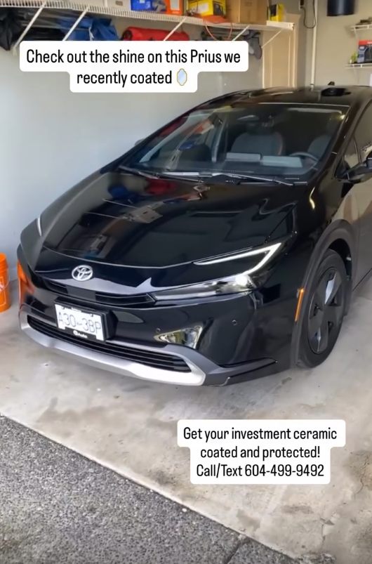 Detail work 3, black Prius ceramic coated